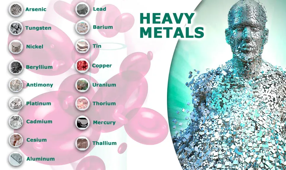 A Complete Review Of Heavy Metal Detox