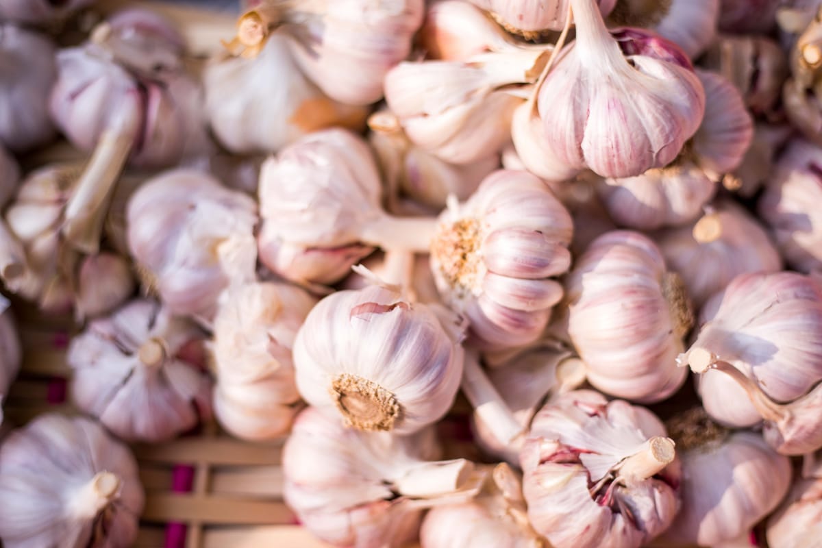 The Best Garlic Supplements: A Comprehensive Review