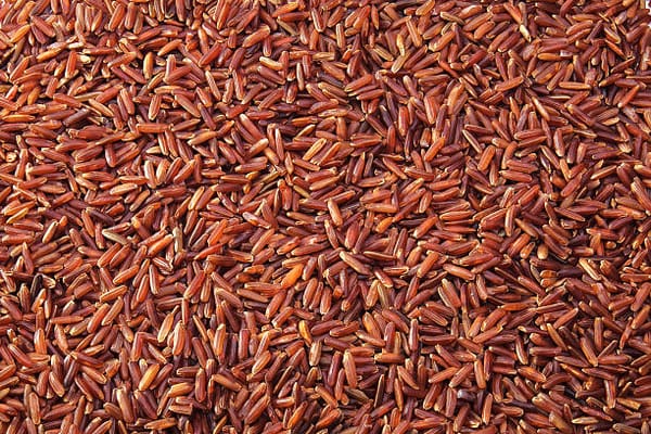 Best Brown Rice Introduction Picture