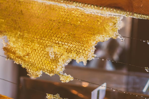 Best Raw Honey Introduction Picture